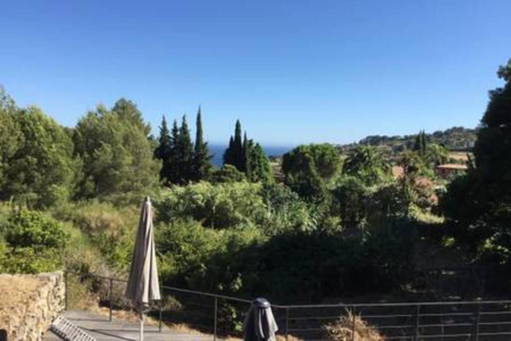 Villa Cabanon Carqueiranne Esterno foto